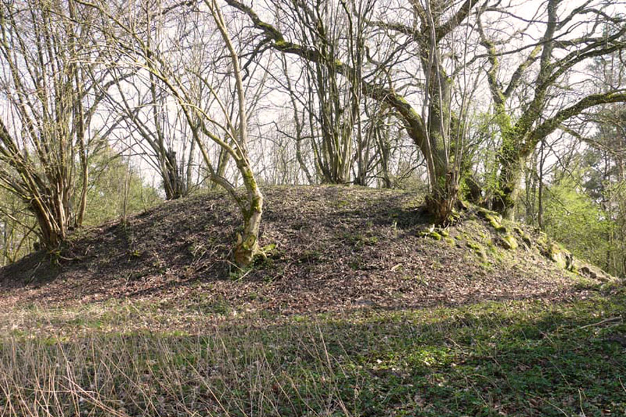Burgwall Zislow (Foto: F. Ruchhöft)