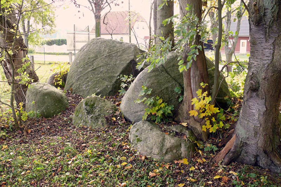 Großsteingrab in Vilz (Foto: F. Ruchhöft)