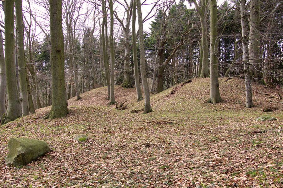 Hügelgräber von Blieschow (Foto: F. Ruchhöft)