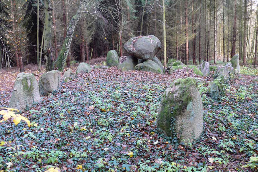 Großsteingrab in Neu Stuer (Foto: F. Ruchhöft)