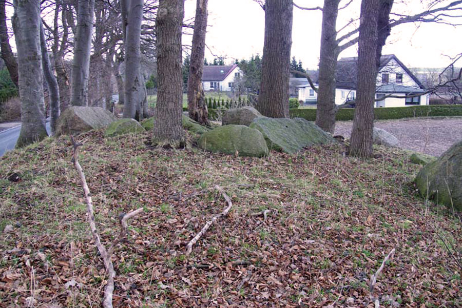 Großsteingrab von Nadelitz (Foto: F. Ruchhöft)