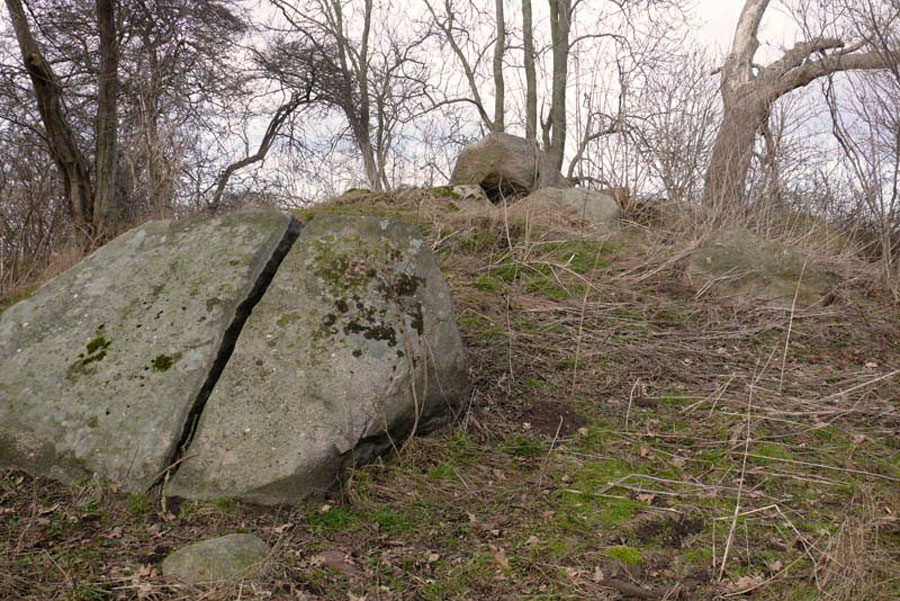 Großsteingrab von Posewald (Foto: F. Ruchhöft)